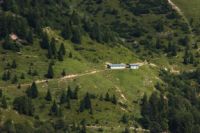 2014-08-02_06FritzPflaum-Steig (115).JPG